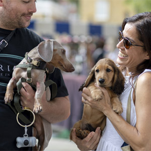 Chelsea Dog Day 2024 | Duke of York Square